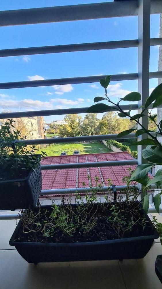 Glavna slika -Komforan namešten stan 80m2 idealan za porodice sa 1 detetom 