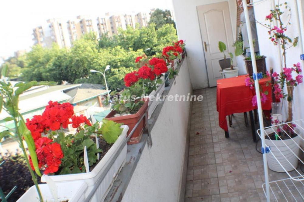 Slika 7 - Grbavica-Odličan stan -Vojvođanska-065/3858-888