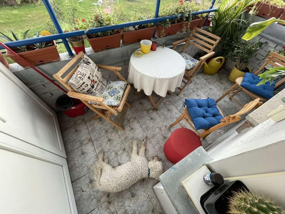 Slika 7 - Prilika za vas ukoliko tražite stan u mirnom delu grada! Novo naselje - 68m2 Šifra: 516062