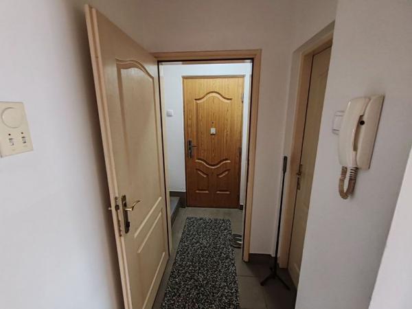 Slika 11 - Lep svetao stan Novo Naselje