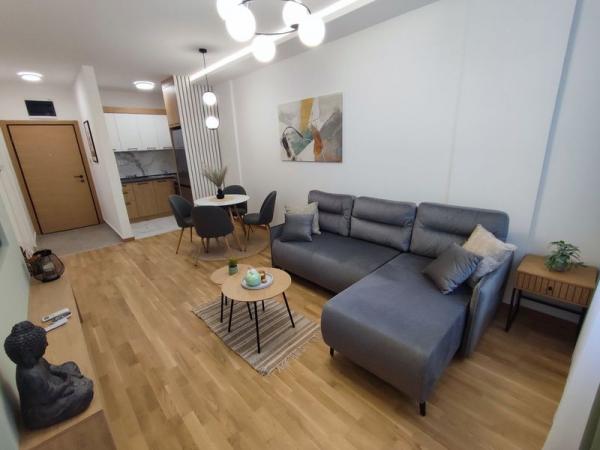 Slika 5 - Dvosoban, nov, opremljen stan na Avijaciji.