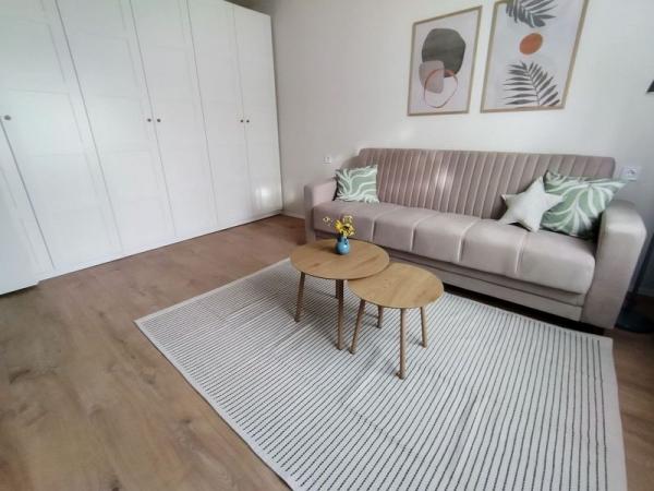 Slika 2 - Jednosoban stan, Nova Detelinara