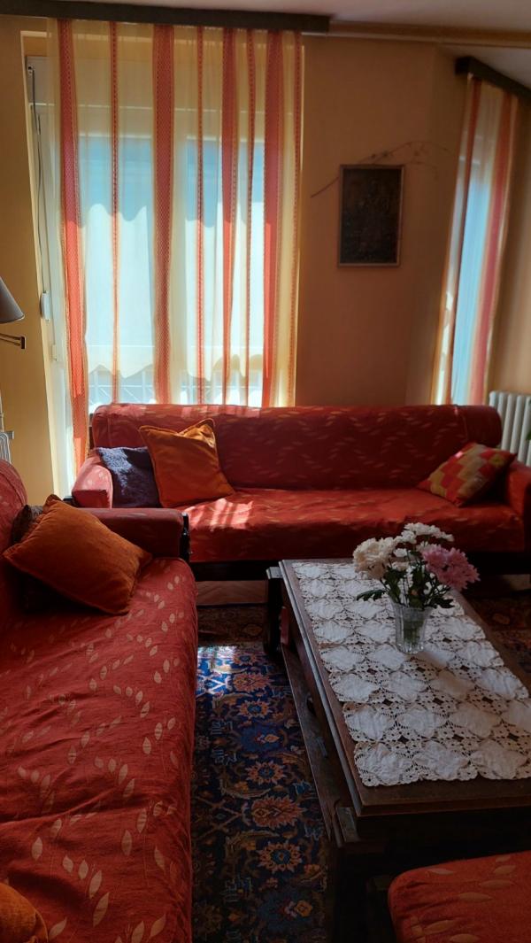 Slika 1 - Troiposoban, 96m2, Novi Sad, Žarka Vasiljevića 3 Novi Sad, sa terasom, ima lift