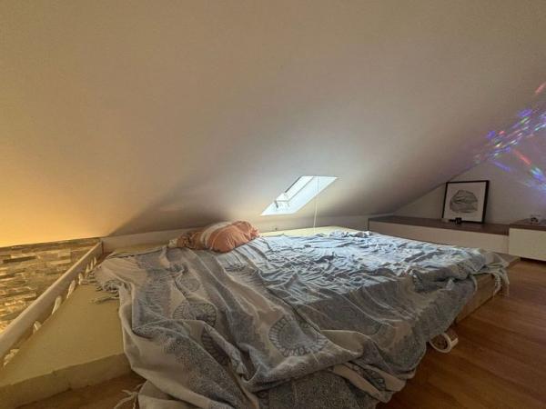 Slika 8 - Predstavljamo Vam fantastičnu nekretninu u samom centru Novog Sada! 