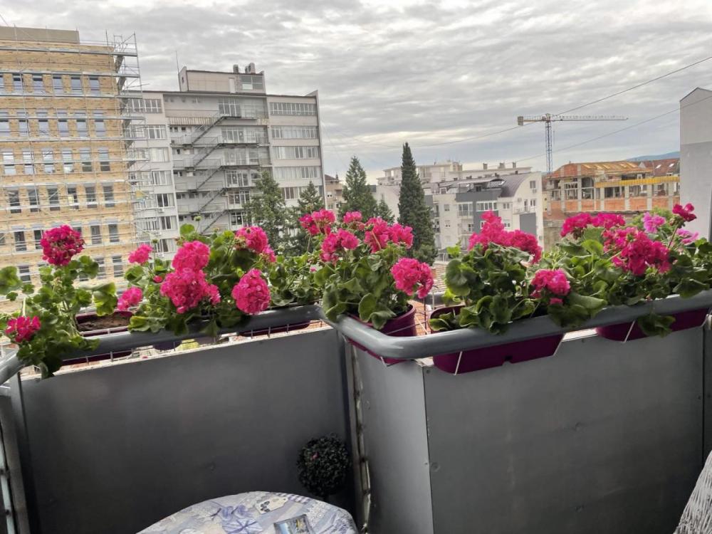 Slika 11 - Trosoban stan na Žitnom trgu