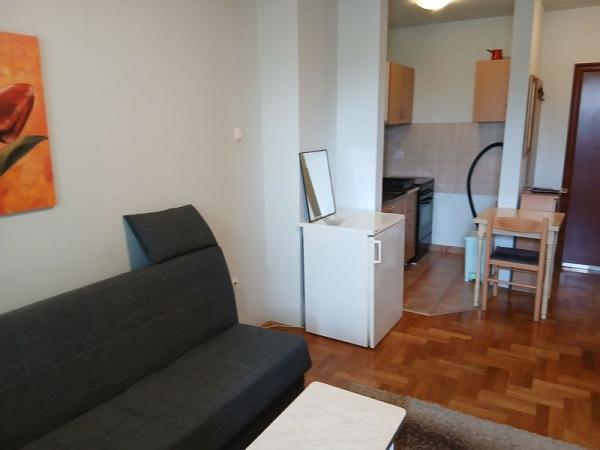 Slika 2 - Odliicna garsonjera na bulevaru Evrope! 