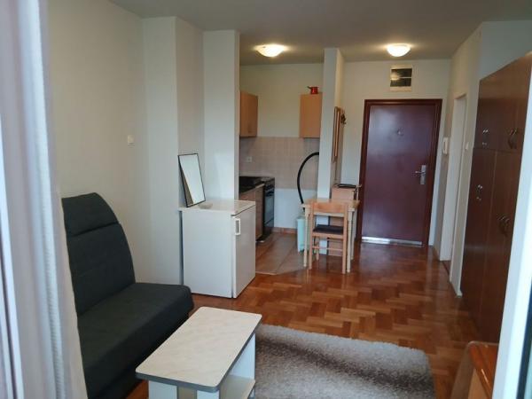Slika 3 - Odliicna garsonjera na bulevaru Evrope! 