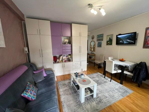 Glavna slika -Prodaja stana, 30m2, Novo naselje Novi Sad, sa terasom, ima lift