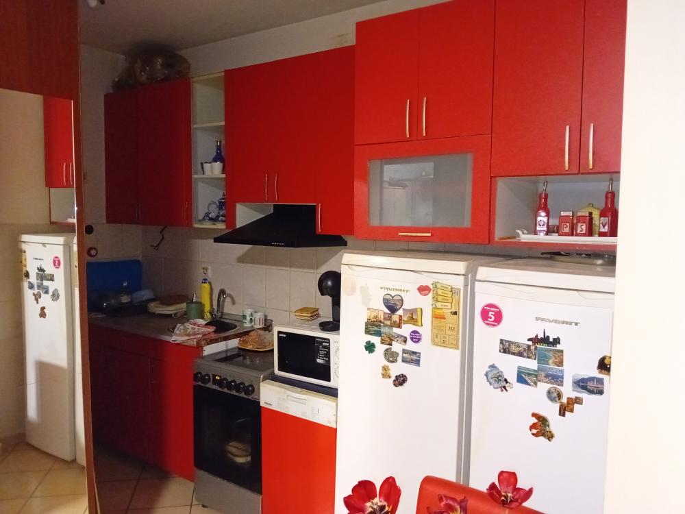 Slika 6 - Tatarsko brdo,Jelene Lozanoc