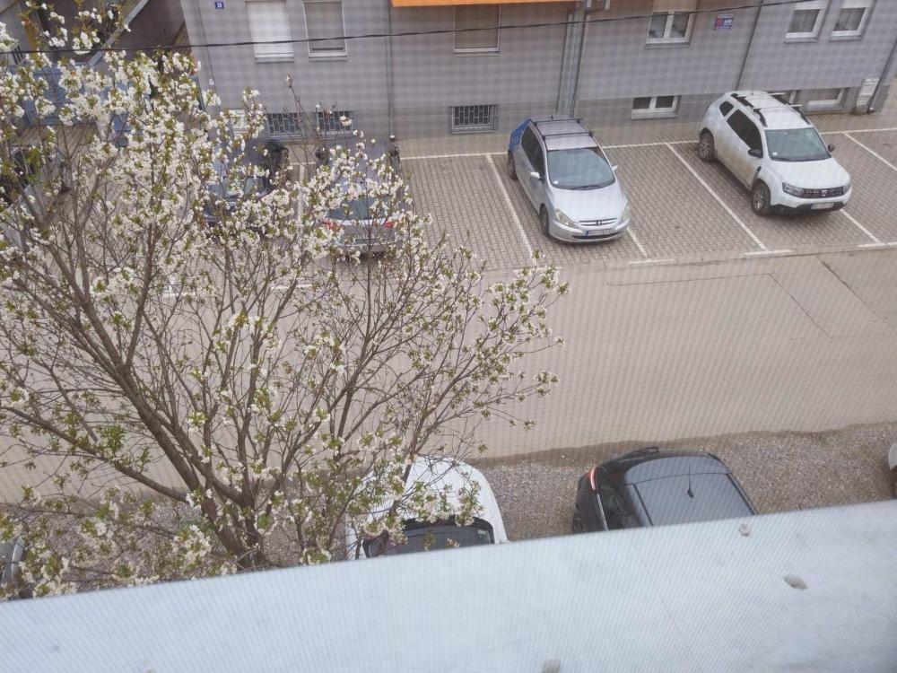 Slika 5 - Stan,NOVI SAD,ADICE,kv: 81.00, € 115500, ID: 1058216