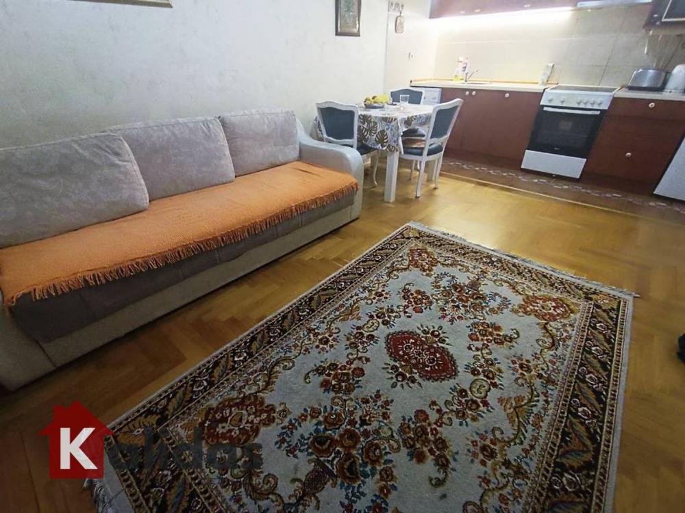 Slika 3 - Stan,NOVI SAD,CENTAR,kv: 43, € 149350, ID: 1007212