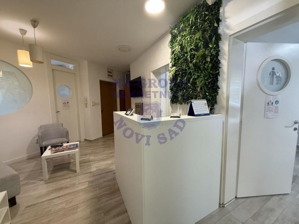 Slika 9 - Jedinstvena nekretnina, visoki partrer, odlično i za poslovni prostor! Centar! š. 548496