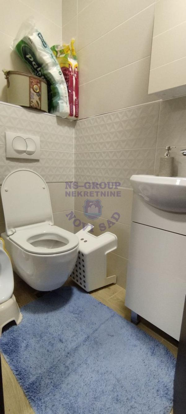 Slika 6 - Urbana vila, pripadajući deo dvorišta!