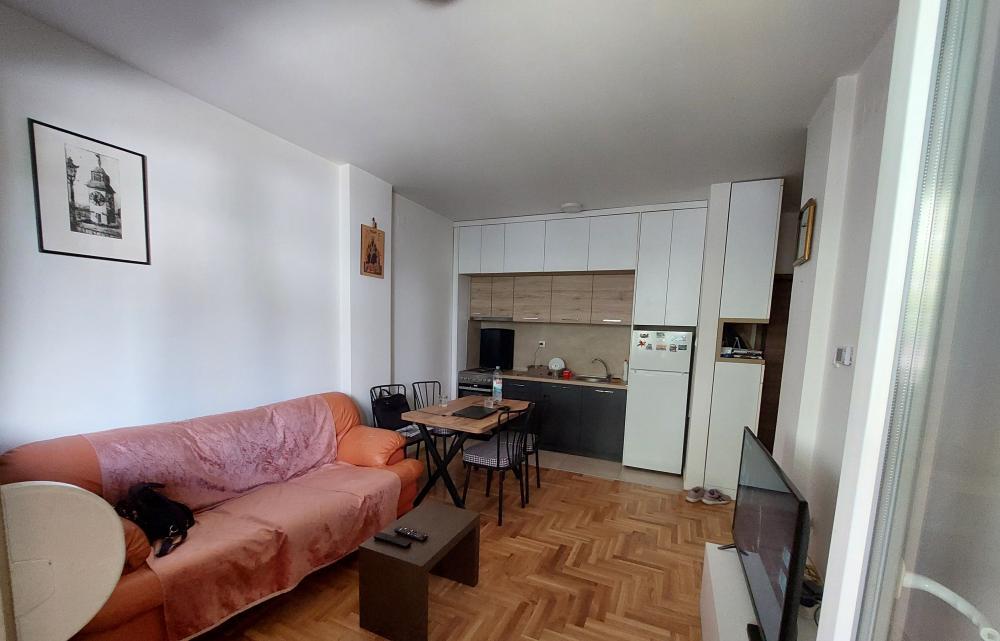 Glavna slika -Hitna prodaja, jednoiposoban stan - širi centar, VLASNIK