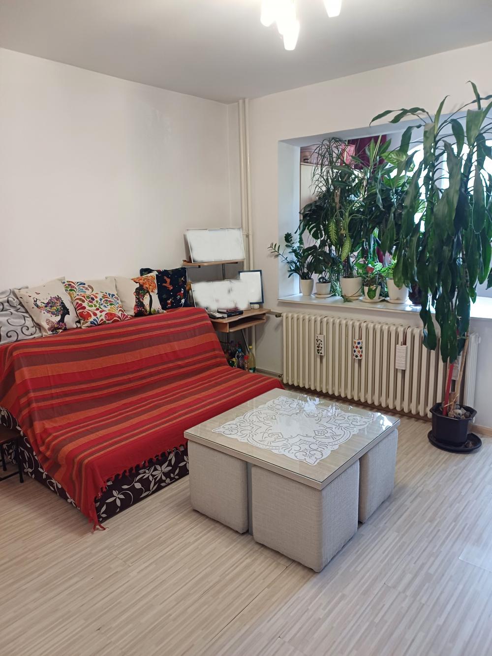 Slika 6 - Garsonjera 29m2 - Detelinara