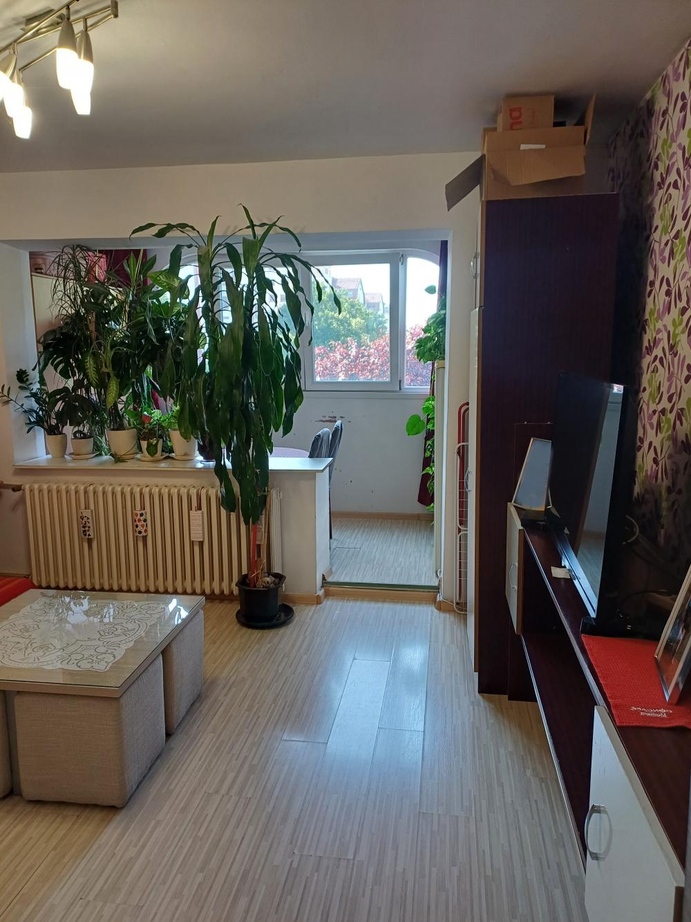 Slika 7 - Garsonjera 29m2 - Detelinara