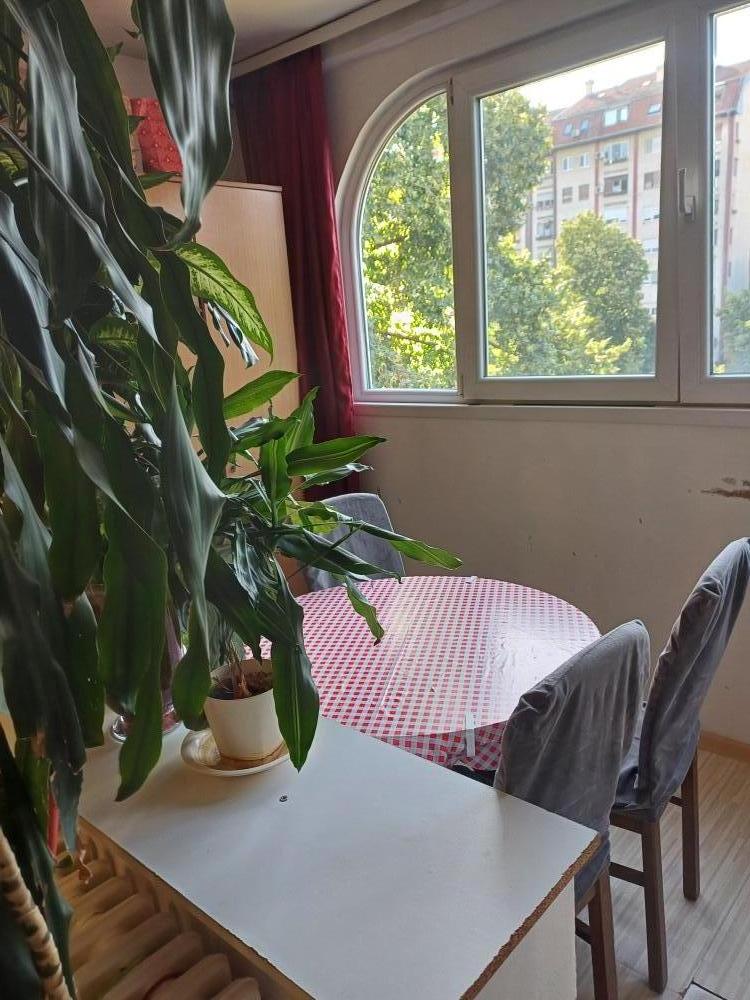 Slika 9 - Garsonjera 29m2 - Detelinara