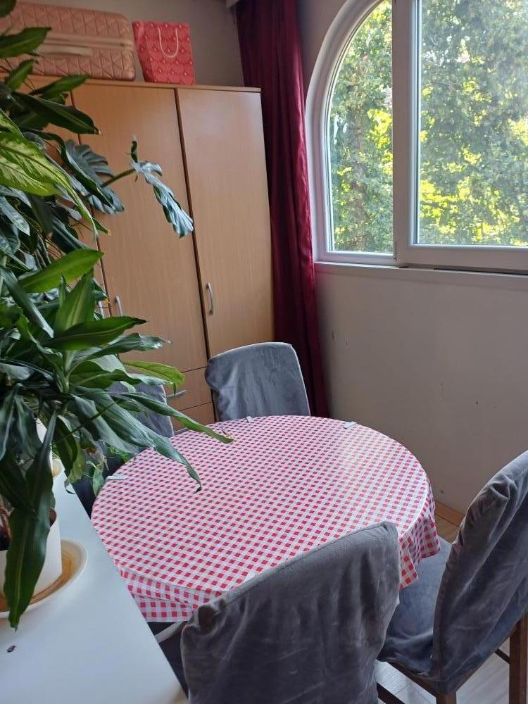 Slika 10 - Garsonjera 29m2 - Detelinara