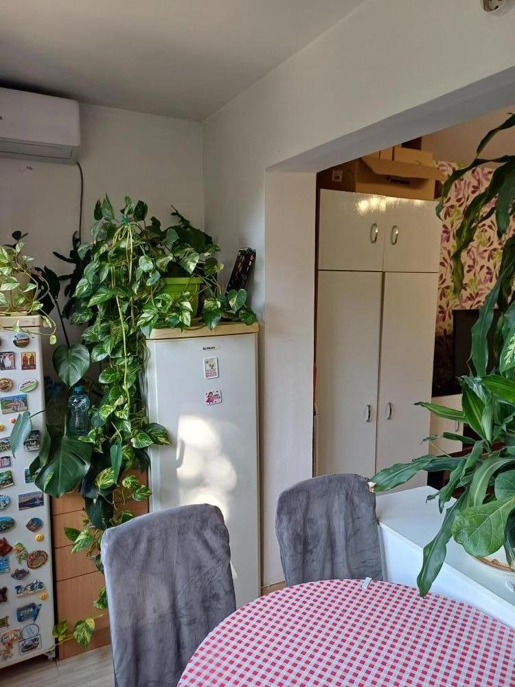 Slika 11 - Garsonjera 29m2 - Detelinara