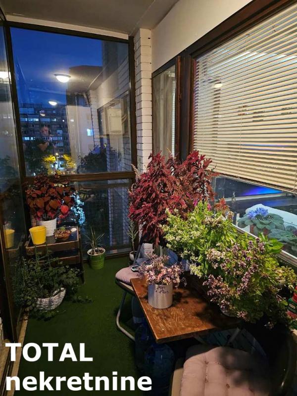 Slika 8 - Stan,NOVI SAD,BULEVAR,kv: 74.00, € 206000, ID: 1097343