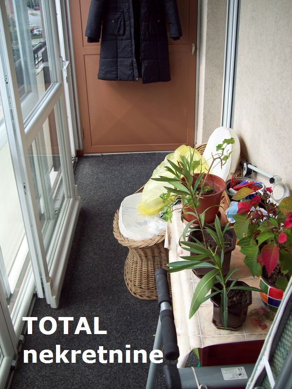 Slika 8 - Stan,NOVI SAD,CARA DUSANA,kv: 57.00, € 103000, ID: 1077814