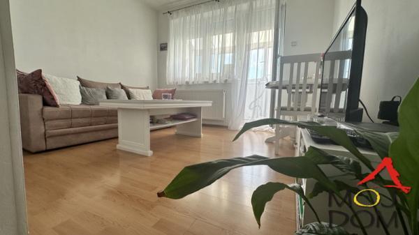 Glavna slika -Stan,NOVI SAD,DETELINARA,kv: 24, € 72100, ID: 1030144
