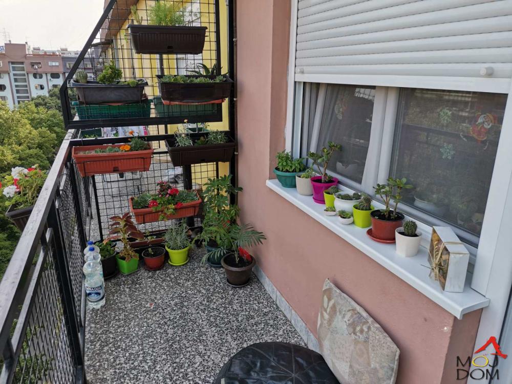 Slika 9 - Stan,NOVI SAD,STANICA,kv: 69, € 164800, ID: 1019047