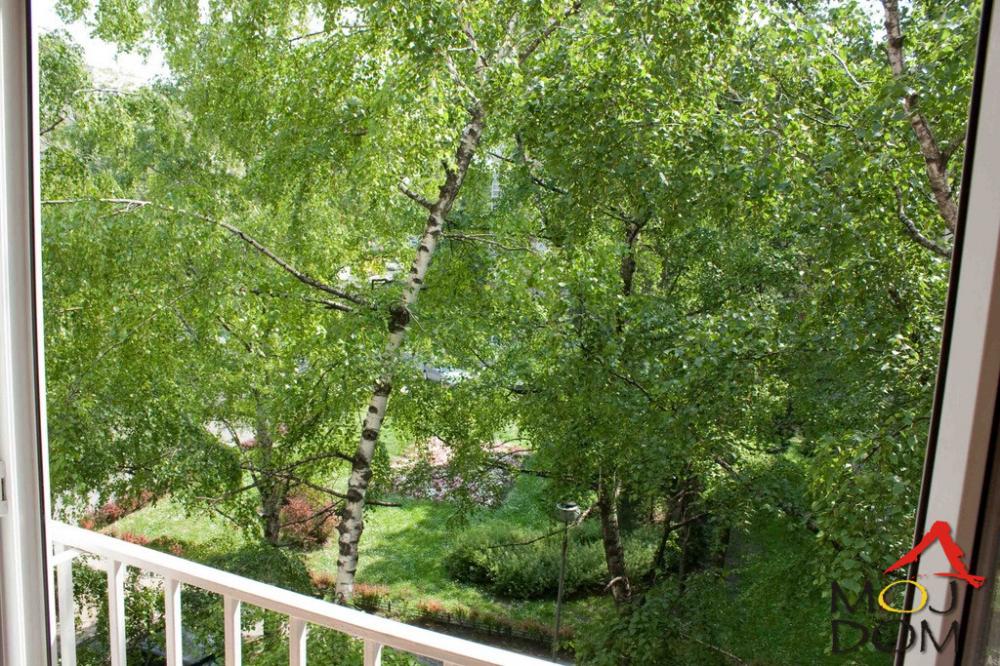 Slika 7 - Stan,NOVI SAD,CENTAR,kv: 36, € 133900, ID: 1029234