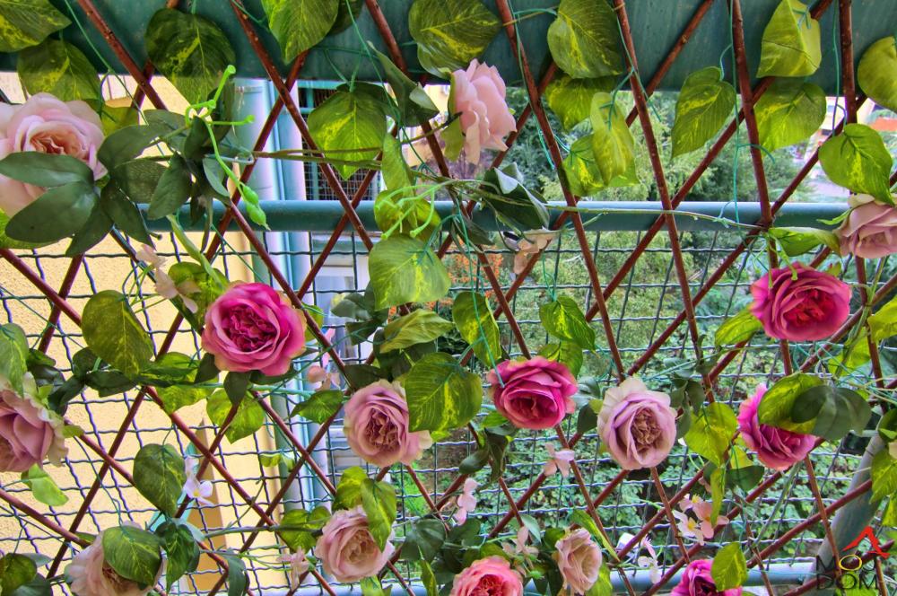 Slika 5 - Stan,NOVI SAD,CENTAR,kv: 49, € 131200, ID: 1029045