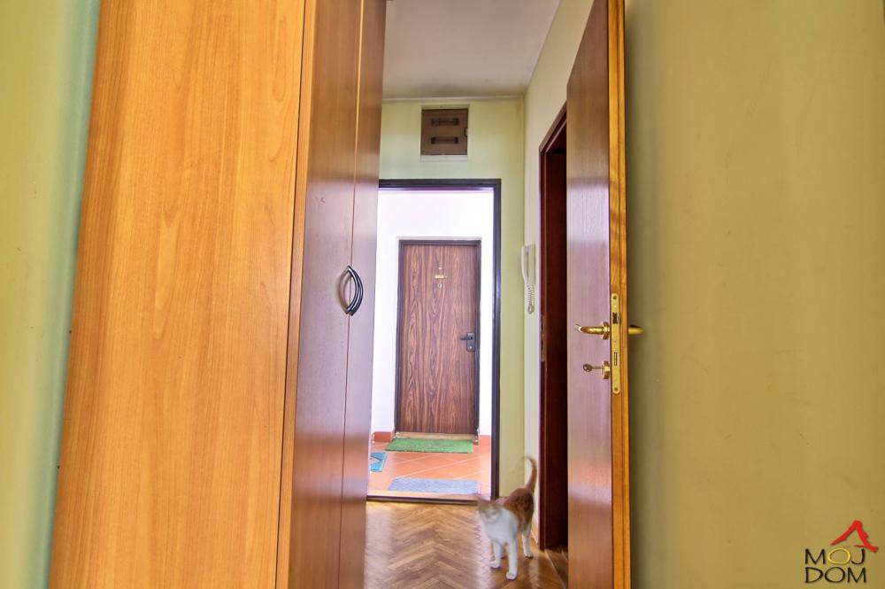 Slika 1 - Stan,NOVI SAD,GRBAVICA,kv: 21, € 82400, ID: 1028820