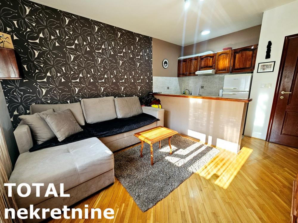 Slika 6 - Stan,NOVI SAD,CARA DUSANA,kv: 24.00, € 85000, ID: 1101090