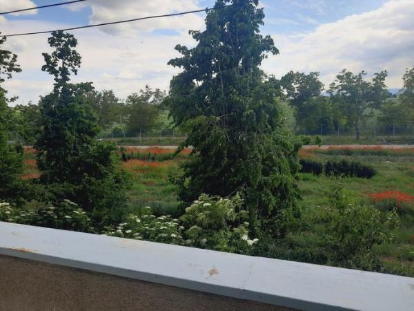 Slika 10 - Stan,NOVI SAD,KLISA,kv: 64.00, € 75000, ID: 1053442