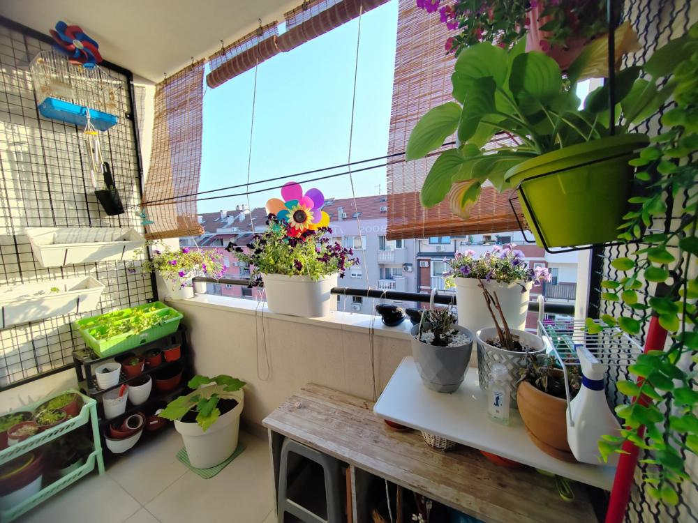 Slika 7 - Stan,NOVI SAD,NOVA DETELINARA,kv: 93.00, € 226600, ID: 1058497