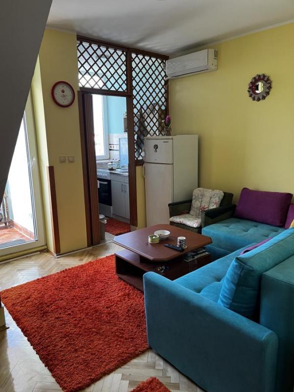 Glavna slika -Dvosoban dupleks bez kosina Adamovićevo naselje