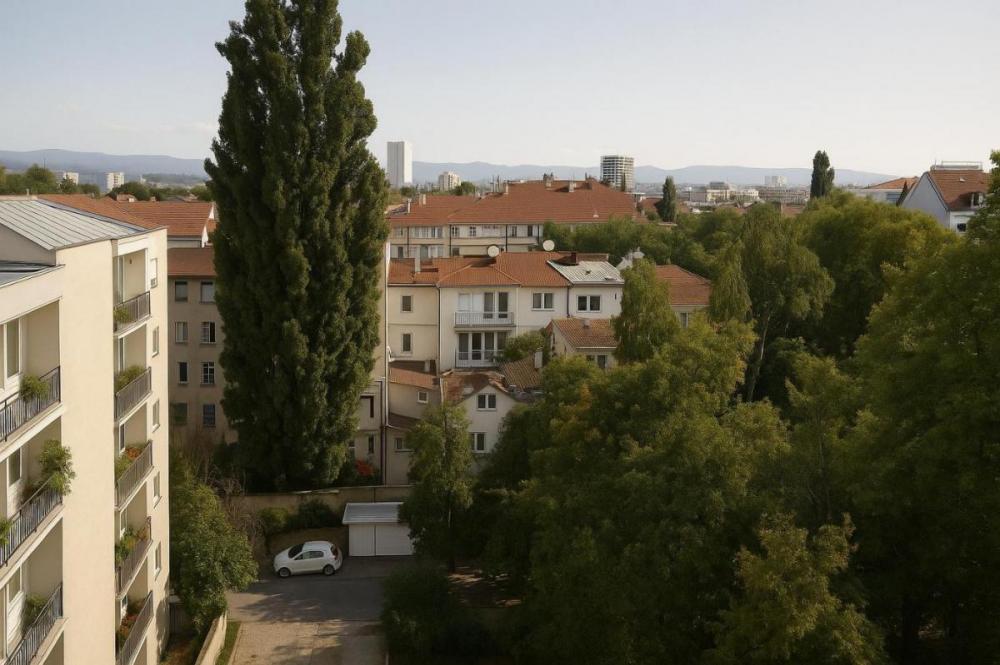 Slika 9 - Trosoban, 86m2, Novi Sad centar Novi Sad, sa terasom, ima lift