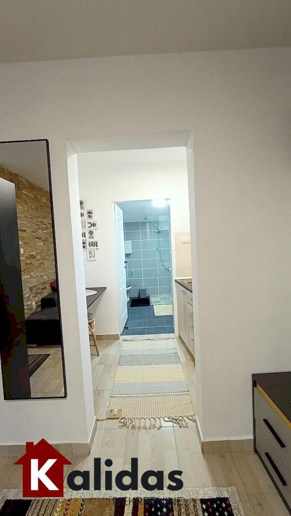 Slika 7 - Stan,NOVI SAD,FUTOŠKA,kv: 24, € 66950, ID: 1008204