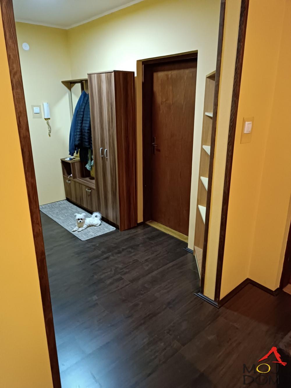 Slika 2 - Stan,NOVI SAD,JUGOVIĆEVO,kv: 64, € 159650, ID: 1031211