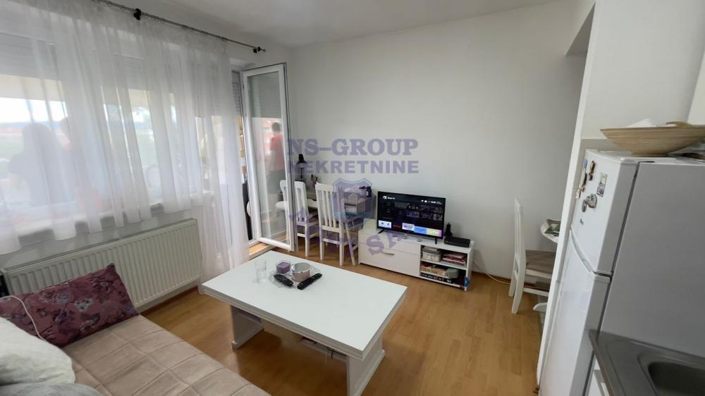 Glavna slika -Odlična prilika - garsonjera - Detelinara