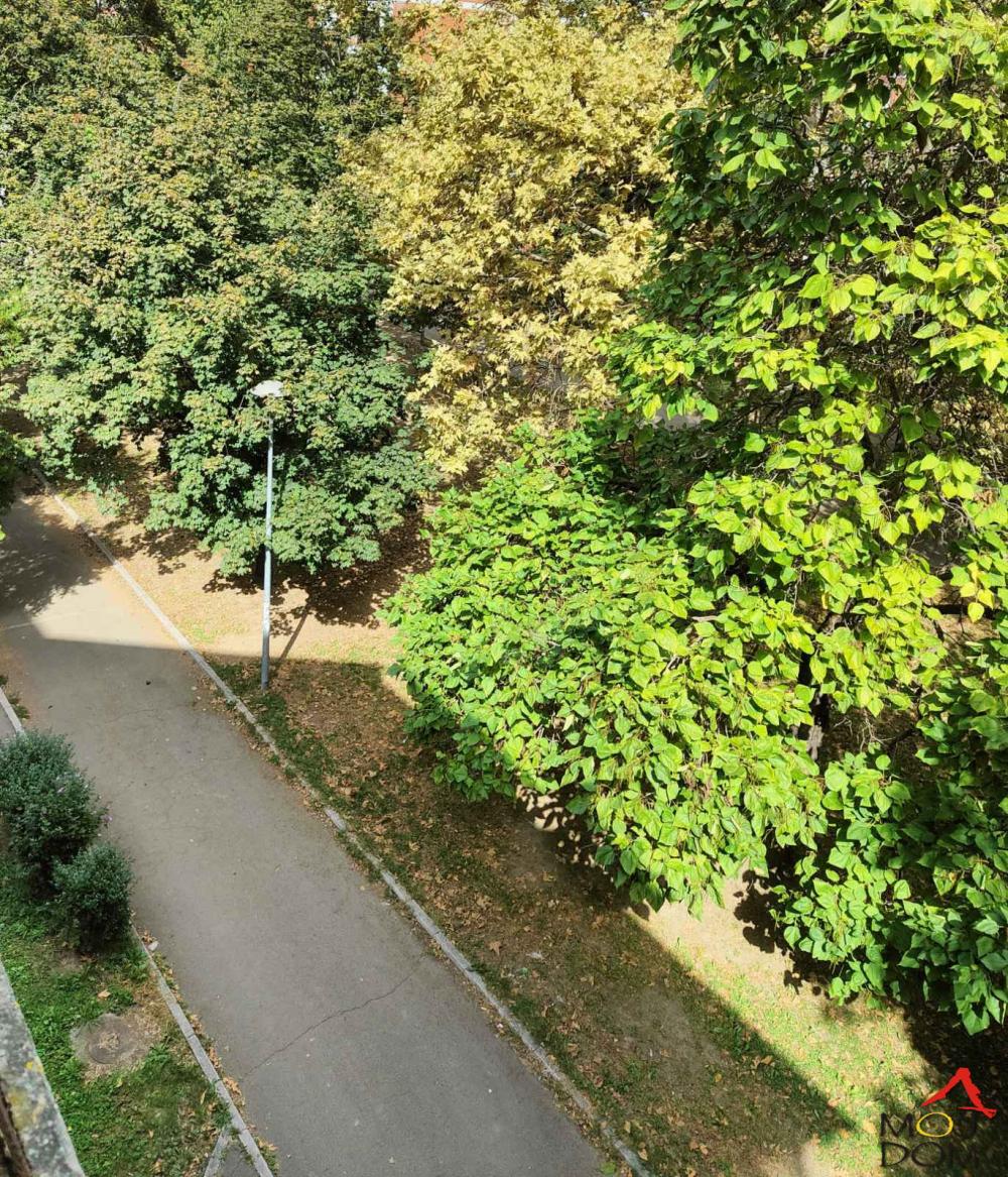 Slika 11 - Stan,NOVI SAD,NOVO NASELJE,kv: 96, € 226600, ID: 1028949