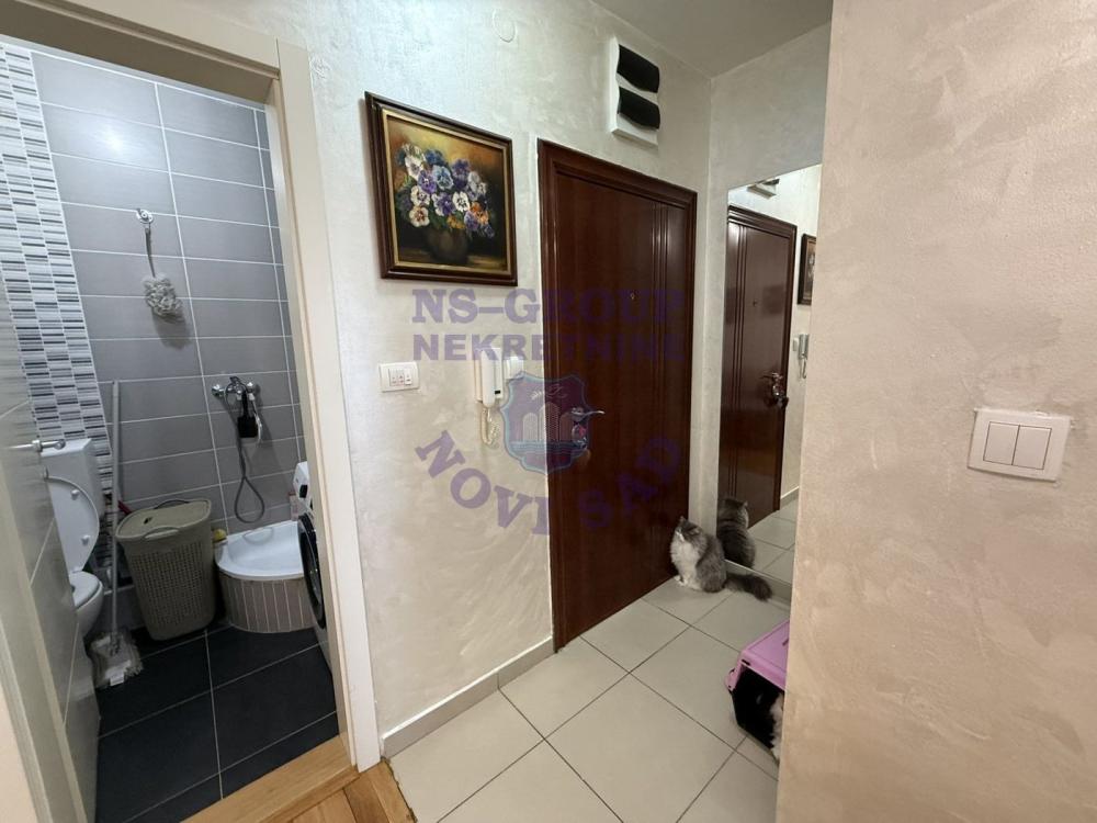 Slika 4 - Predstavljamo Vam fantastičan stan na Bulevaru patrijarha Pavla. 