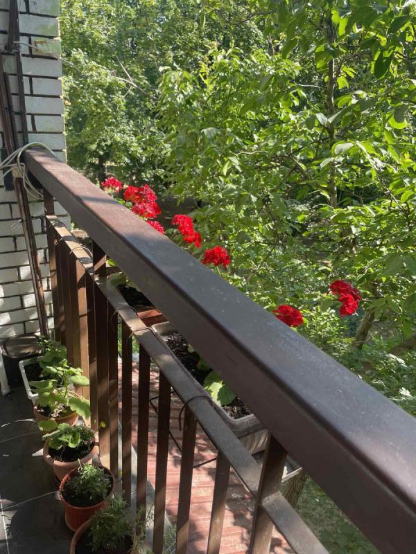 Slika 7 - Stan,NOVI SAD,NOVO NASELJE,kv: 69.00, € 161700, ID: 1058105