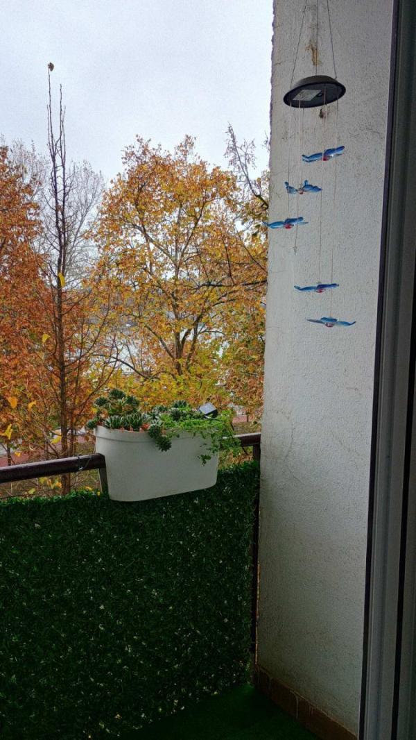 Slika 5 - Stan,NOVI SAD,KEJ,kv: 63.00, € 206000, ID: 1058943