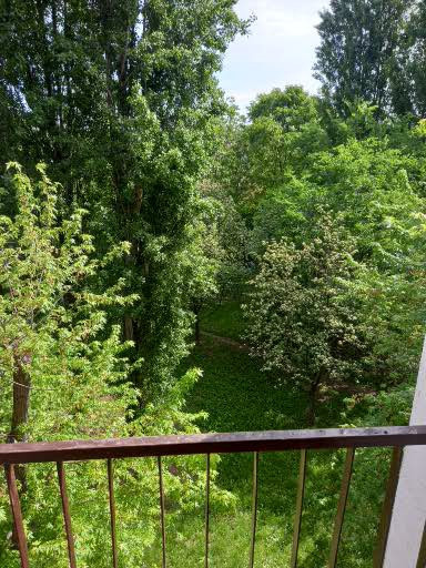 Slika 2 - Stan,NOVI SAD,BLOK 8,kv: 53.00, € 106450, ID: 1058959