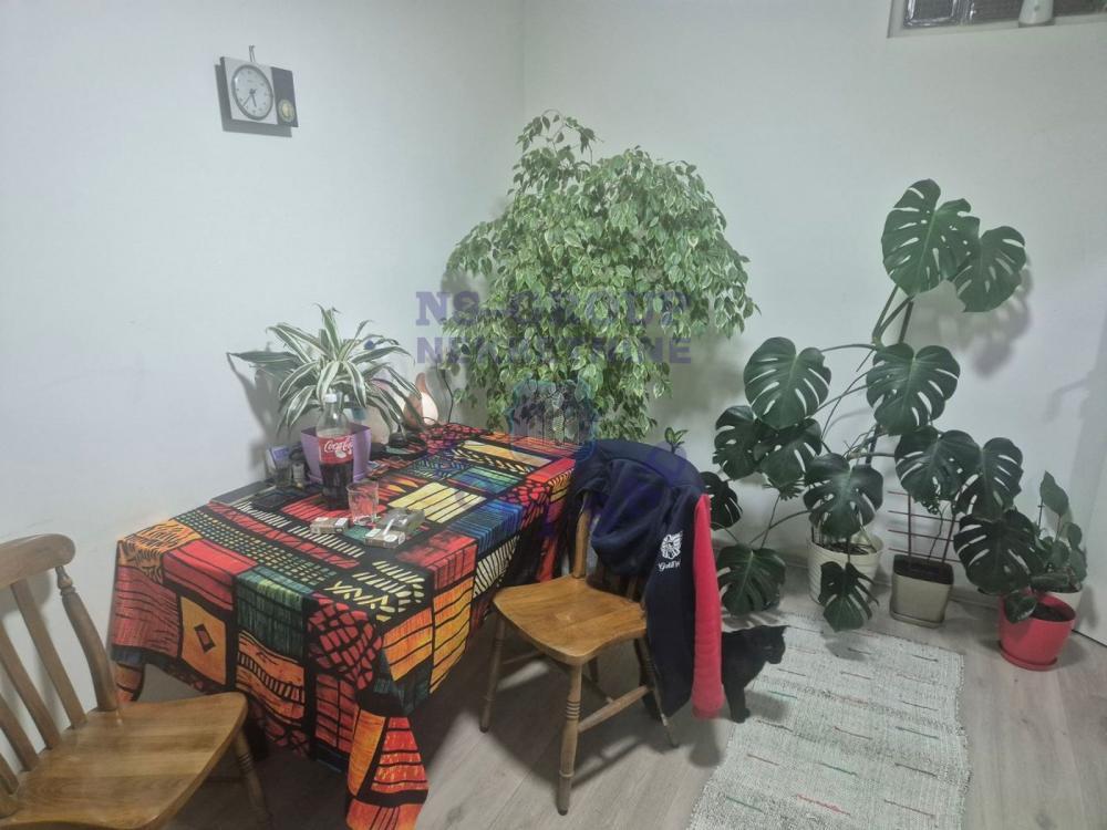 Glavna slika -Dvosoban, 51m2, Bulevar oslobođenja Novi Sad