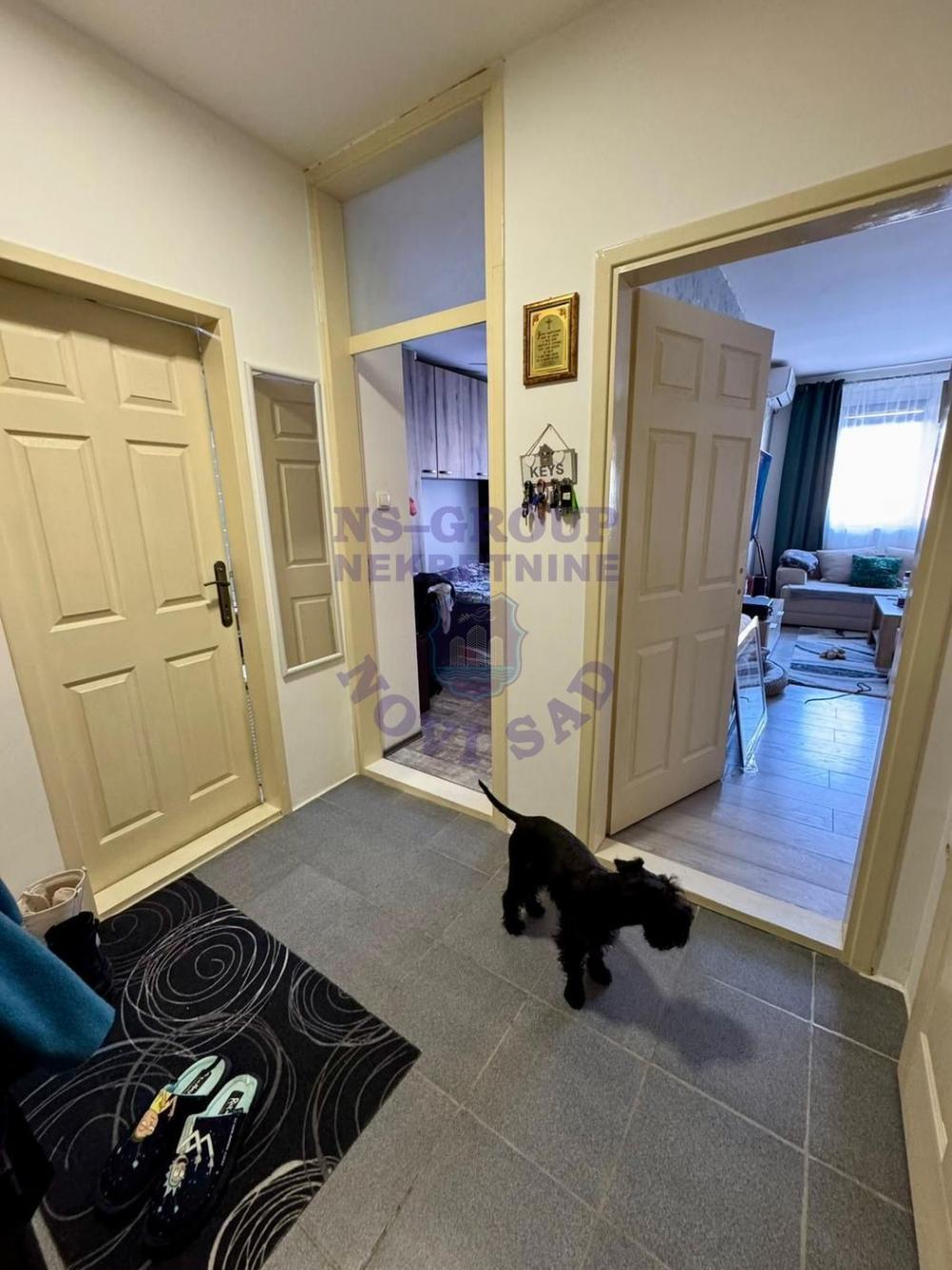 Slika 6 - Odličan, funkcionalan, dvosoban stan na Novoj Detelinari! š. 559406