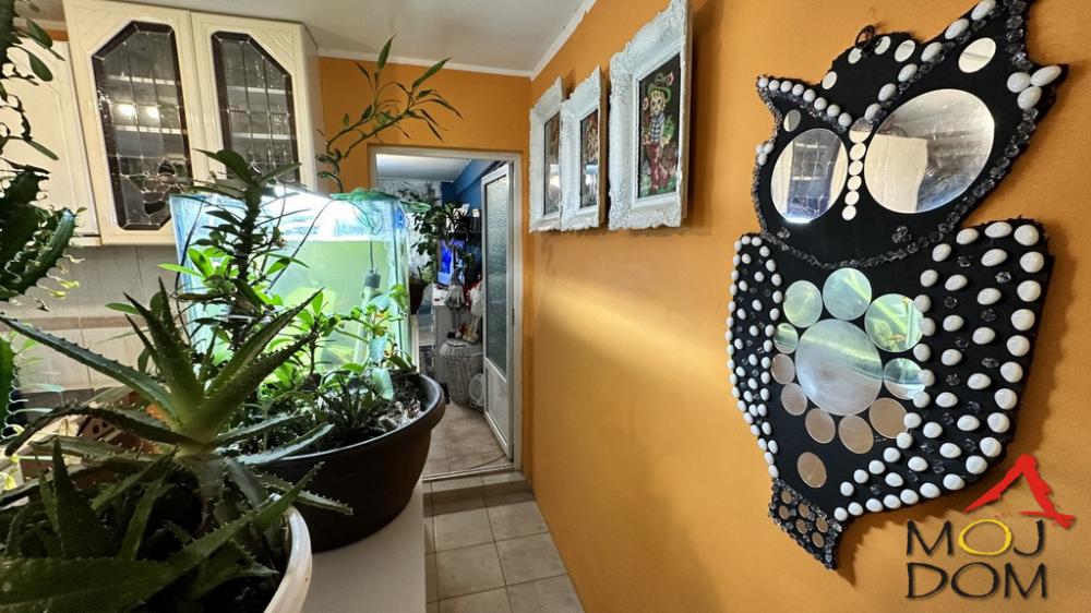 Slika 9 - Stan,NOVI SAD,BULEVAR,kv: 54, € 144200, ID: 1031396