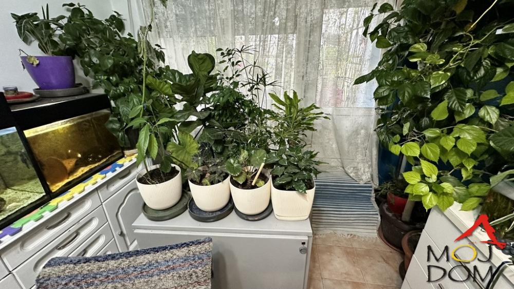 Slika 7 - Stan,NOVI SAD,BULEVAR,kv: 54, € 144200, ID: 1031396