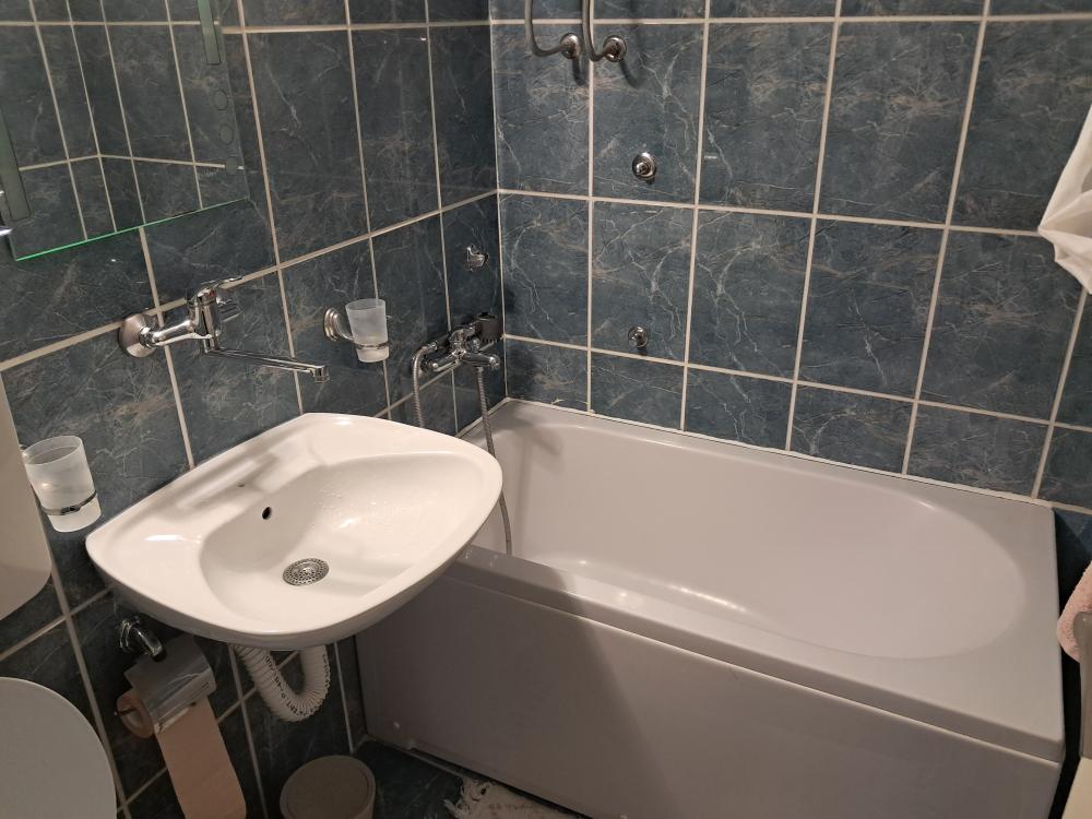 Slika 1 - Izdavanje stana na limanu