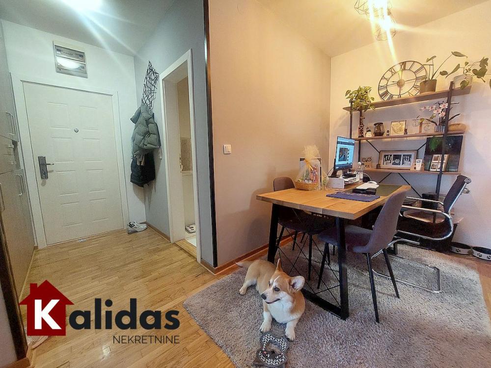 Slika 5 - Stan,NOVI SAD,GRBAVICA,kv: 50, € 135960, ID: 1007673