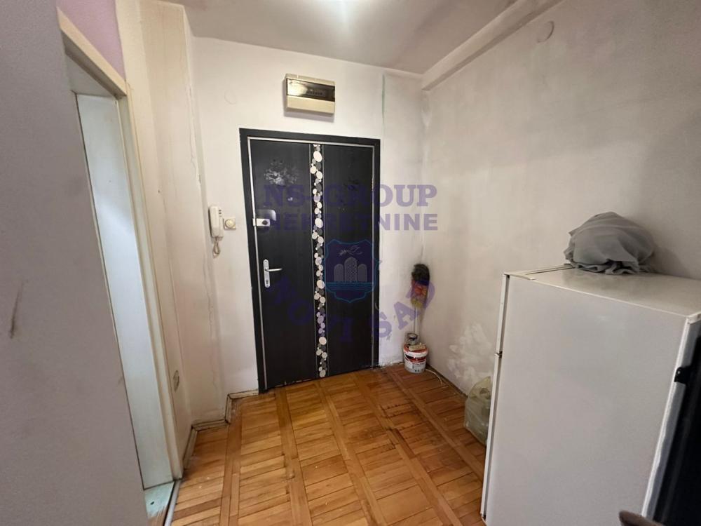 Slika 3 - Garsonjera na Novoj Detelinari!